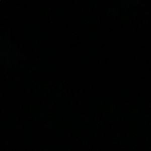 Meet your Posher, Sharia